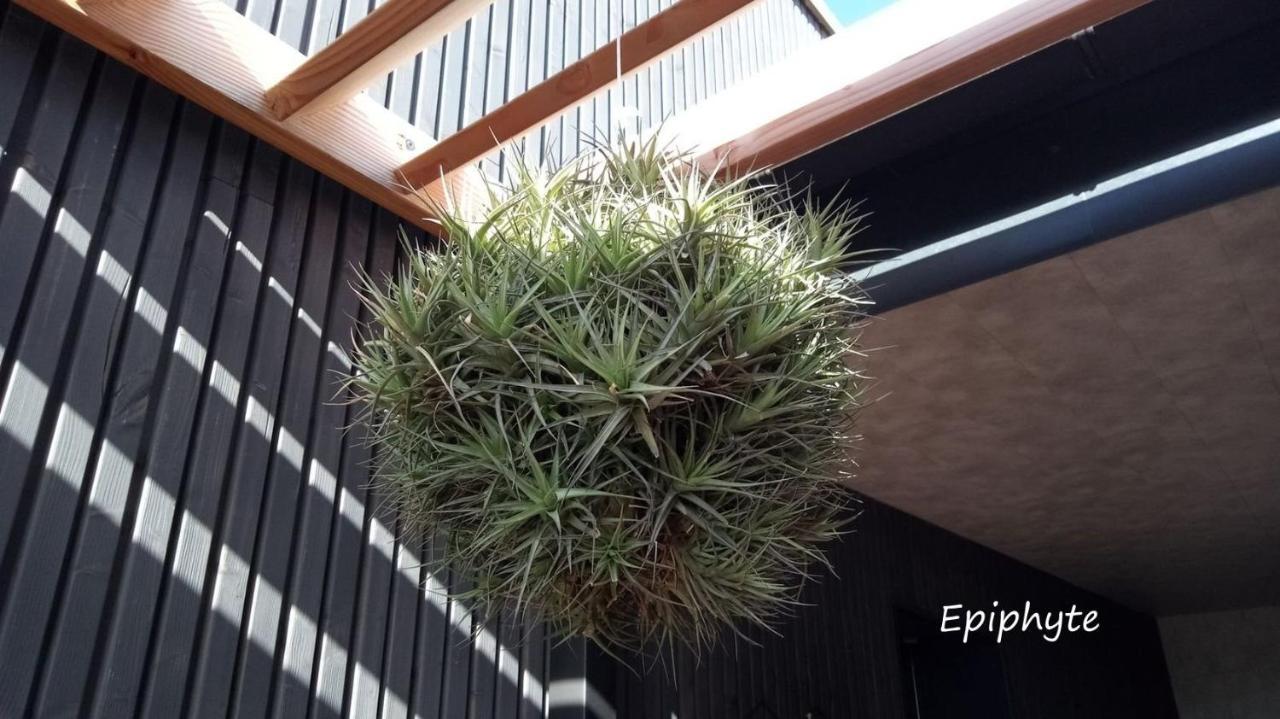 Epiphytes Et Succulentes Διαμέρισμα Paimpol Εξωτερικό φωτογραφία